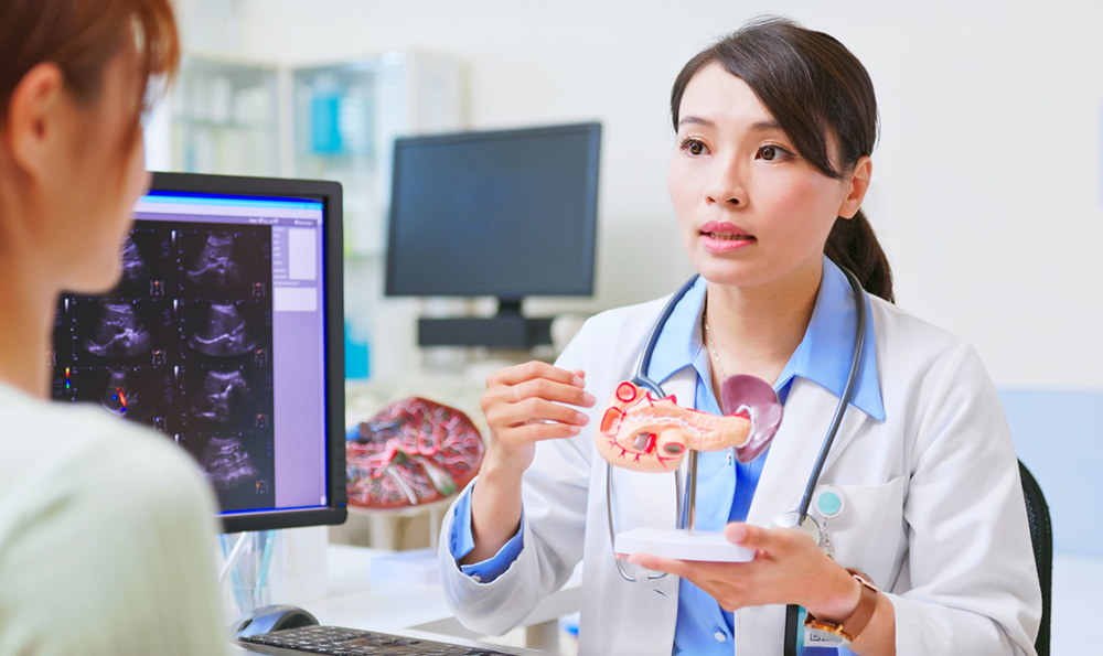 A doctor with a pancreas model