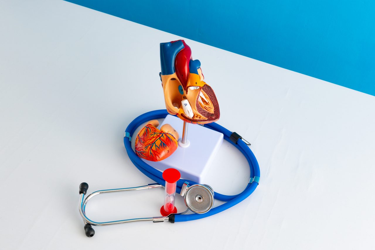 Healthcare and medical concept human heart and hourglass
